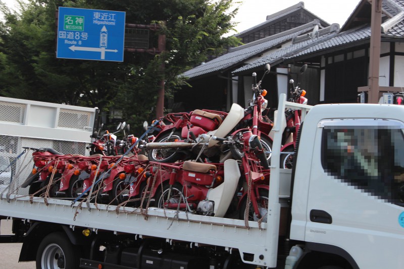 彦根市　カブ