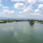 桂川沿いの様子1