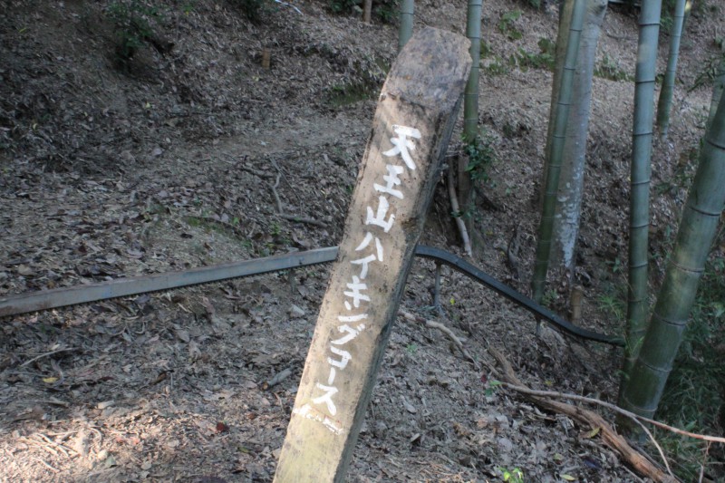 天王山ハイキングコース