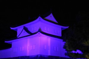 blue1-01