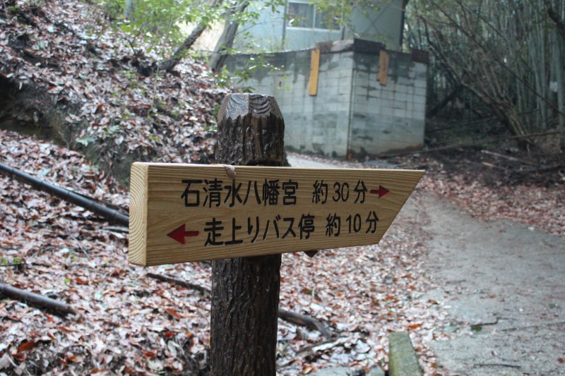 男山散策路