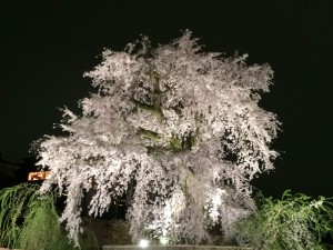 20150404-01