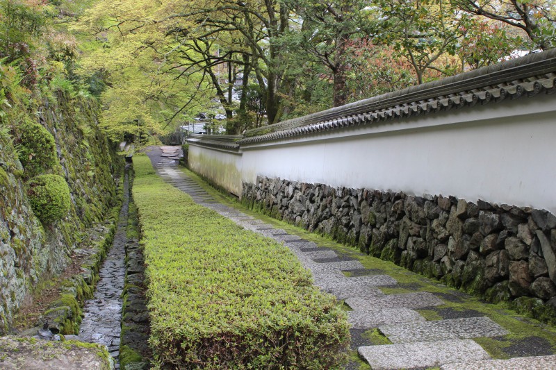 善峯寺 桜風景