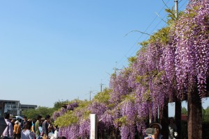 20150427-12