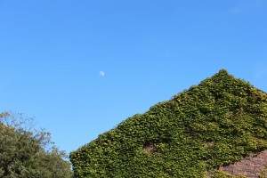 20150728-13