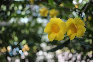 20160703-09