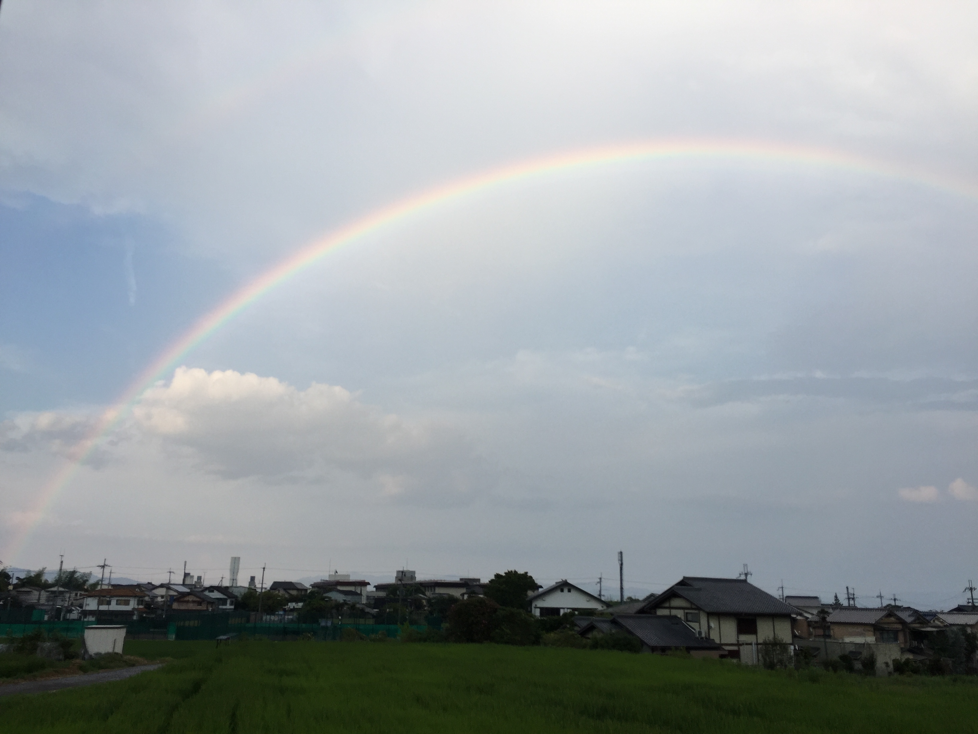 虹1