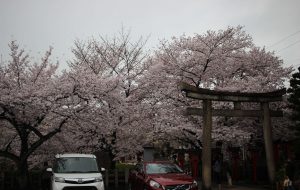 2017年六孫王神社