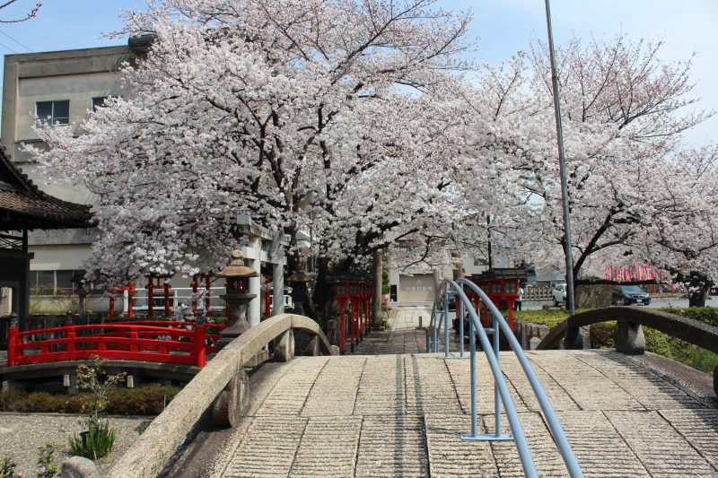 六孫王神社 太鼓橋