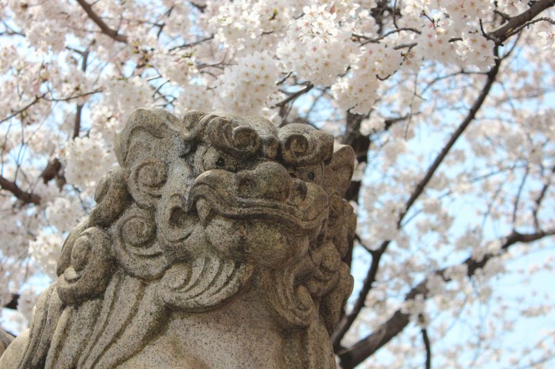 六孫王神社 狛犬