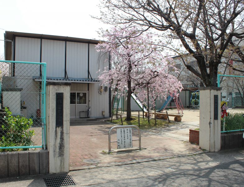 流作町ちびっこ広場　桜