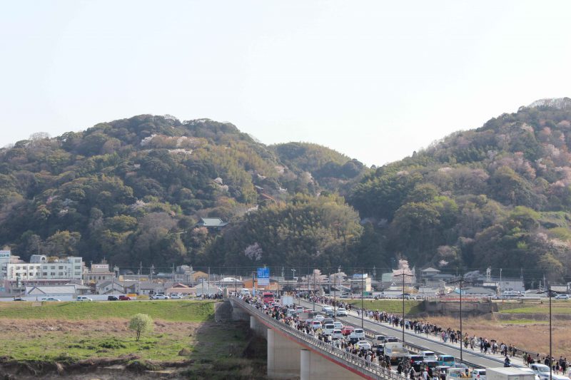 八幡男山