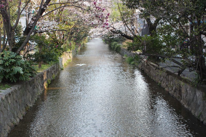西木屋町通正面橋
