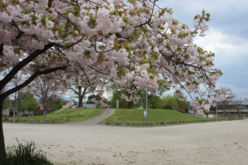 唐橋西寺公園