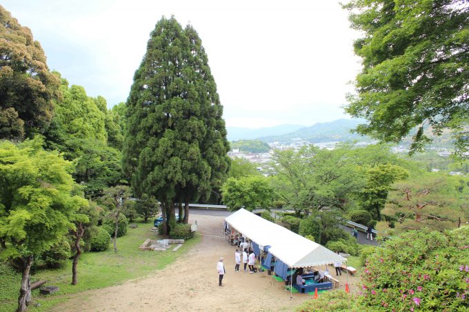 蹴上のつつじ足湯