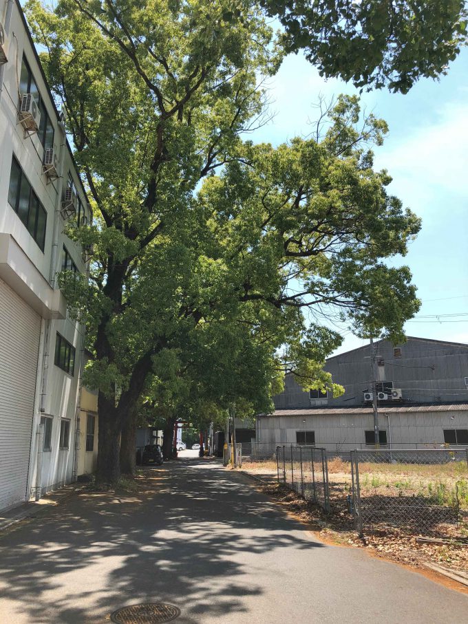 菱妻神社参道？