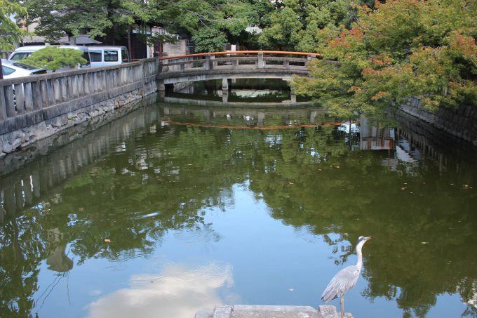 東寺境内