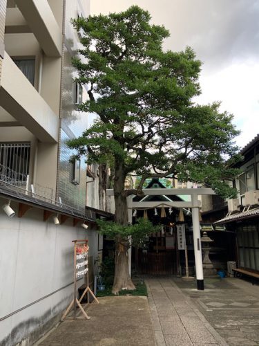 静かな境内