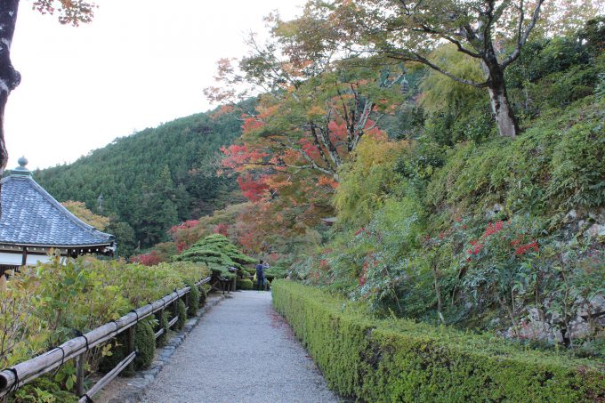 善峯寺 紅葉