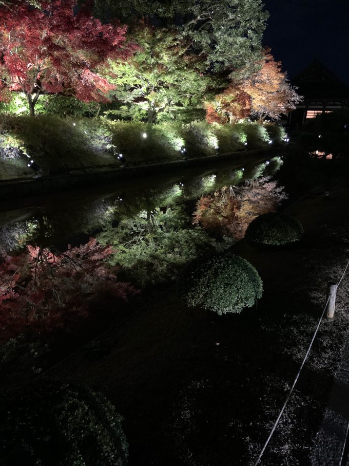 東寺 ライトアップ