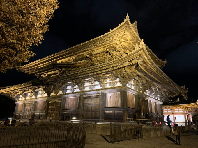 東寺 ライトアップ 金堂と講堂