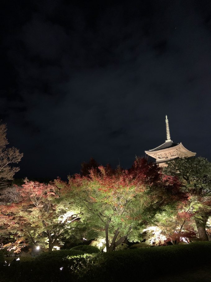 東寺 ライトアップ 紅葉