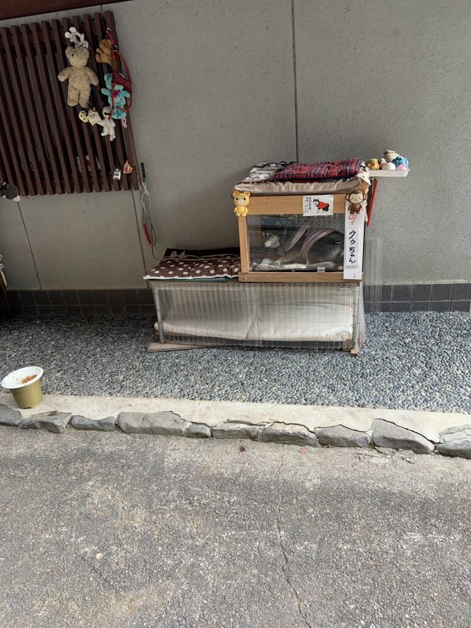 愛宕山　クゥちゃん