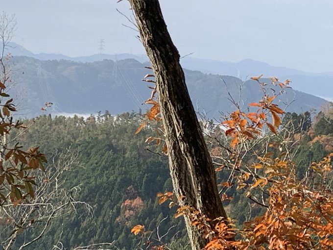 愛宕山　雲海
