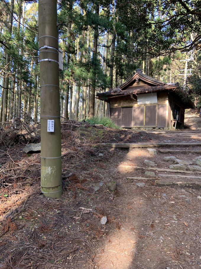 愛宕山　ハナ売場