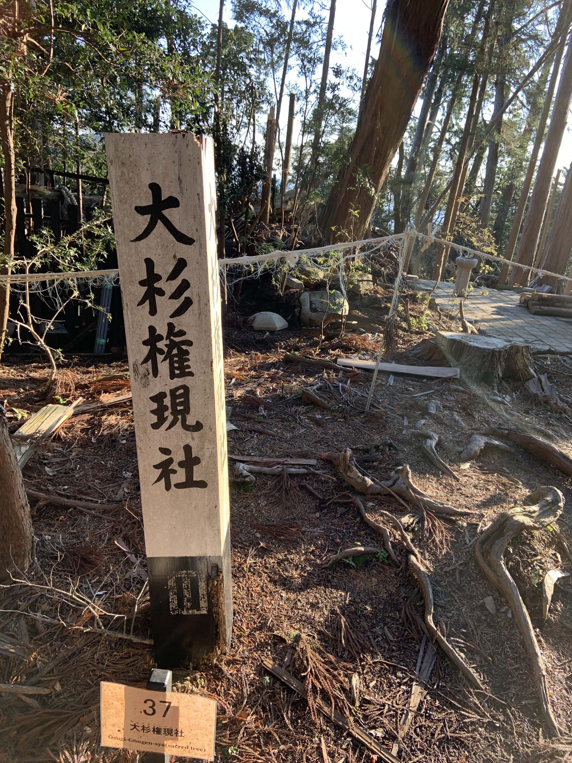 大杉権現社