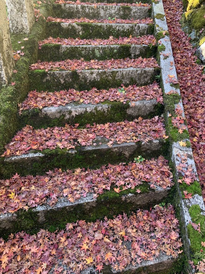 鞍馬寺 散り紅葉