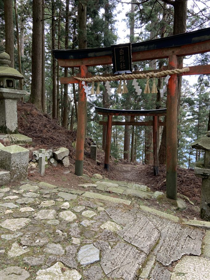 愛宕神社　白髭社