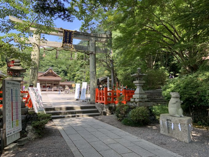 出雲大神宮　うさぎ