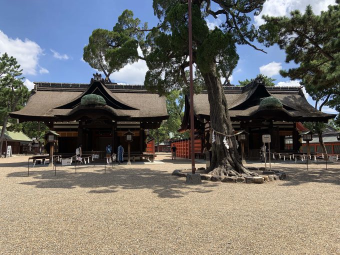 住吉大社のご神木