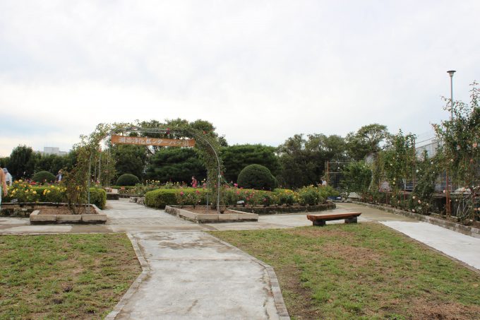 湖西浄化センターバラ園