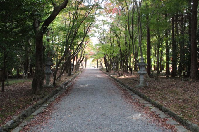 大原野神社参道