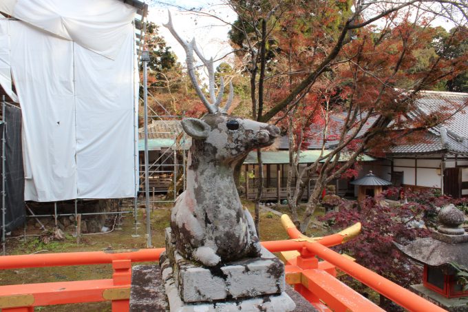 大原野神社狛鹿