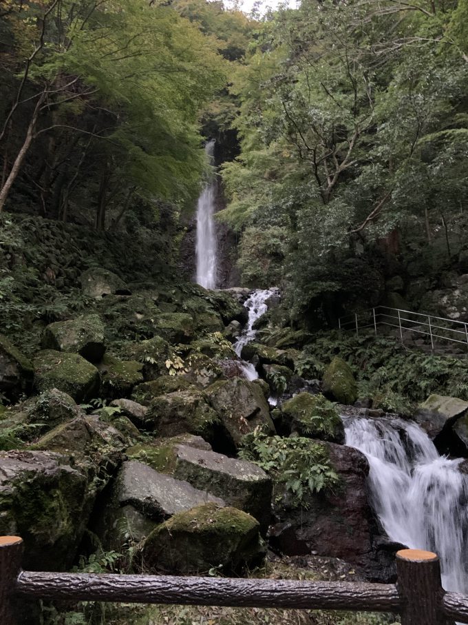 養老の滝