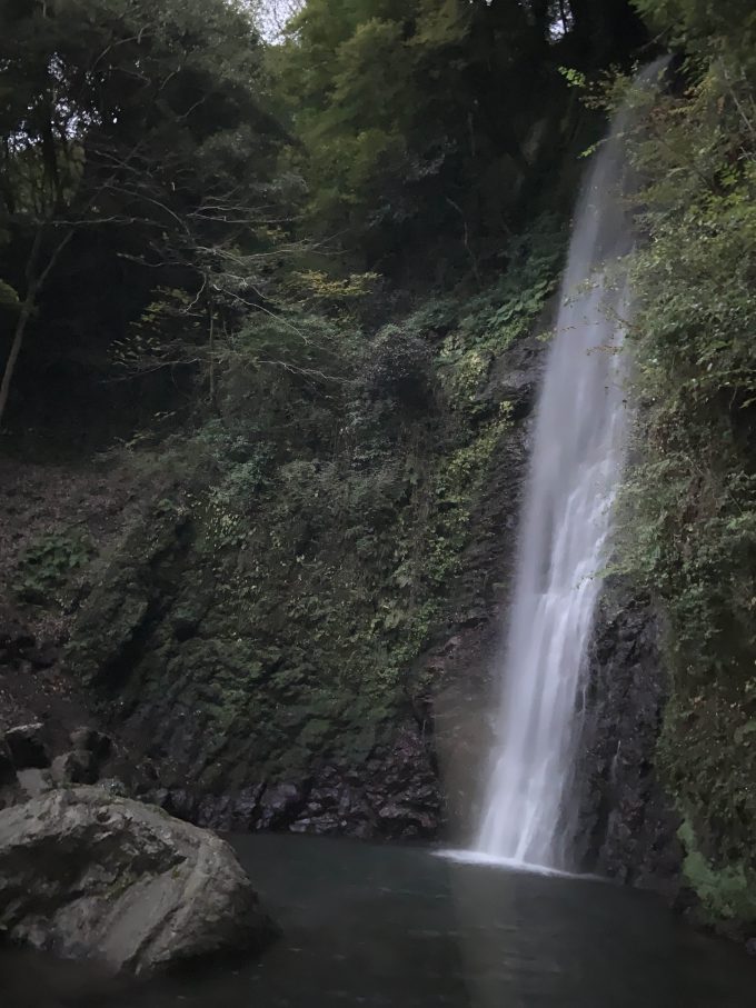 養老の滝