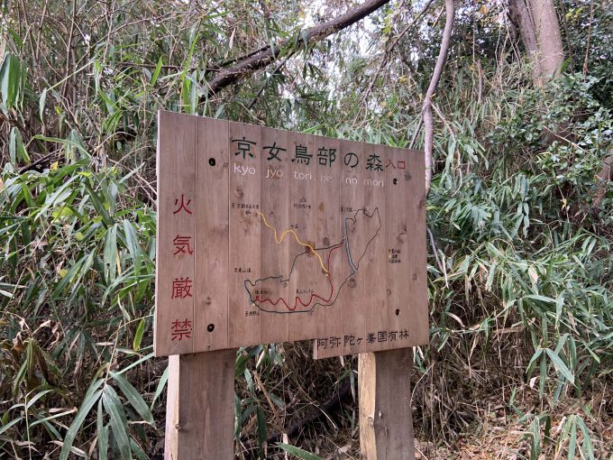 京女鳥部の森