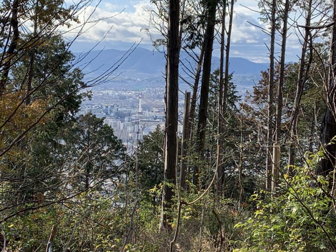 清水山からの京都タワー