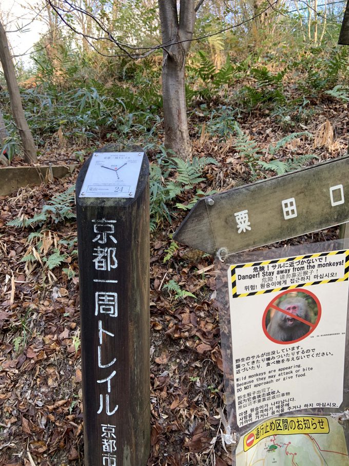 京都一周トレイル東山コース24番