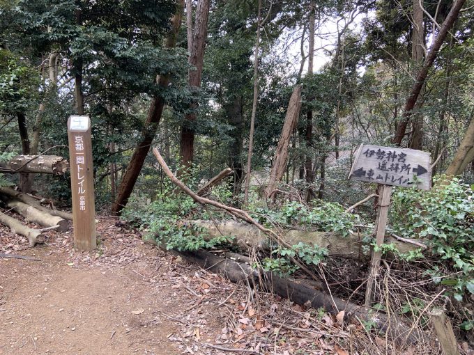 京都一周トレイル東山コース34番