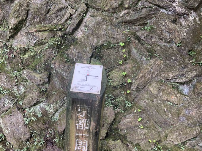 京都一周トレイル西山コース8番