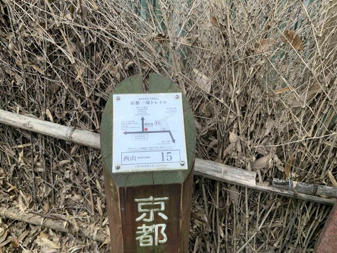 京都一周トレイル西山コース15番