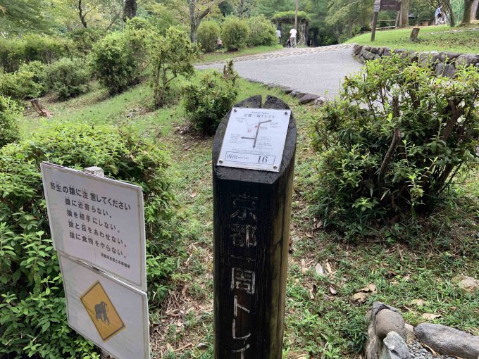 京都一周トレイル西山コース16番