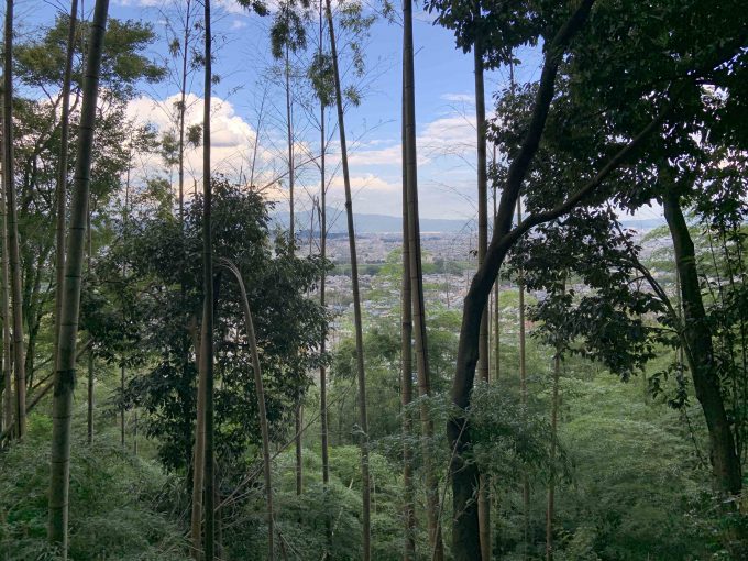 松尾山