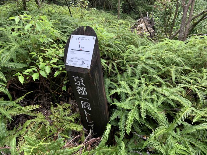 京都一周トレイル西山コース30番