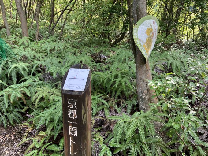 京都一周トレイル西山コース31番