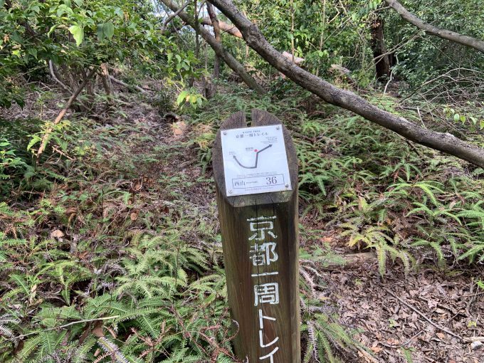 京都一周トレイル西山コース36番